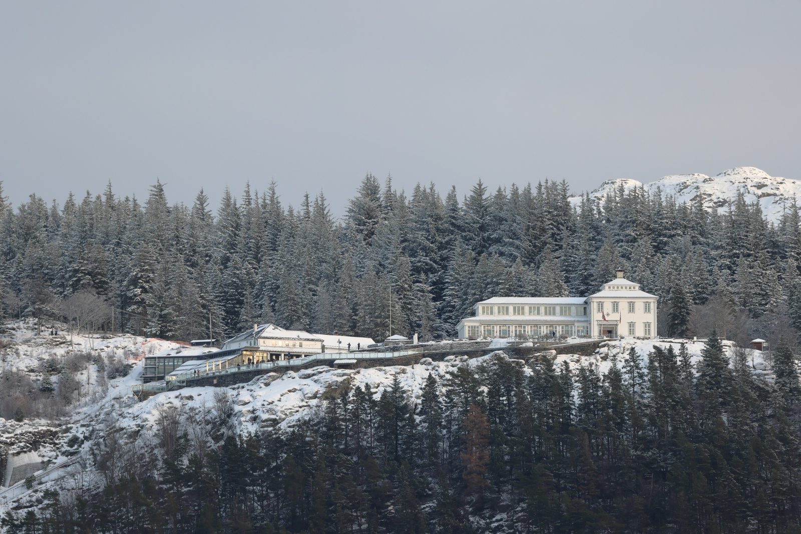 Fløyen