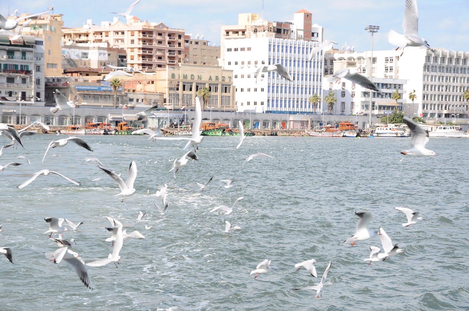 Port Said