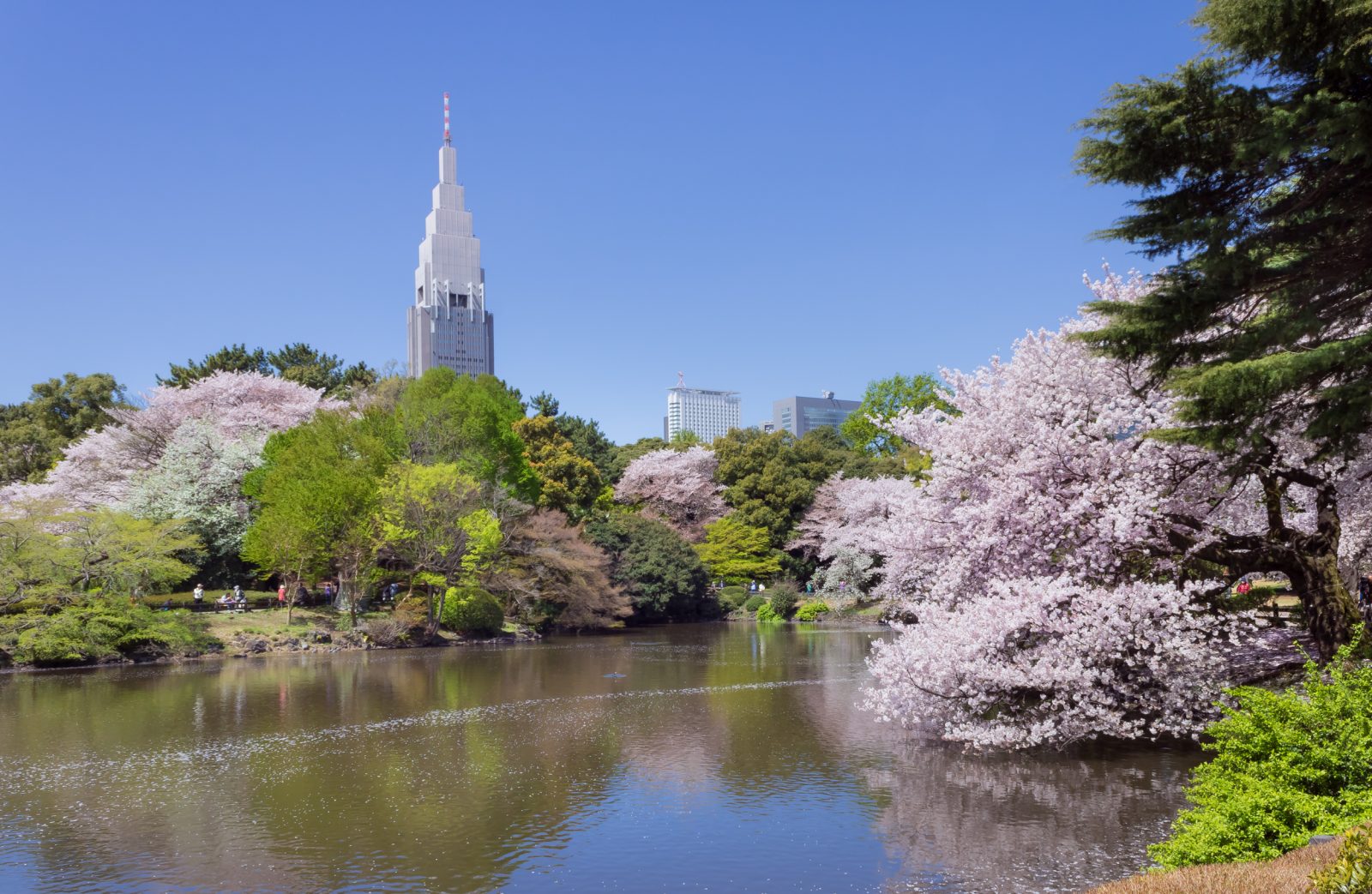 Shinjuku Gyo-en
