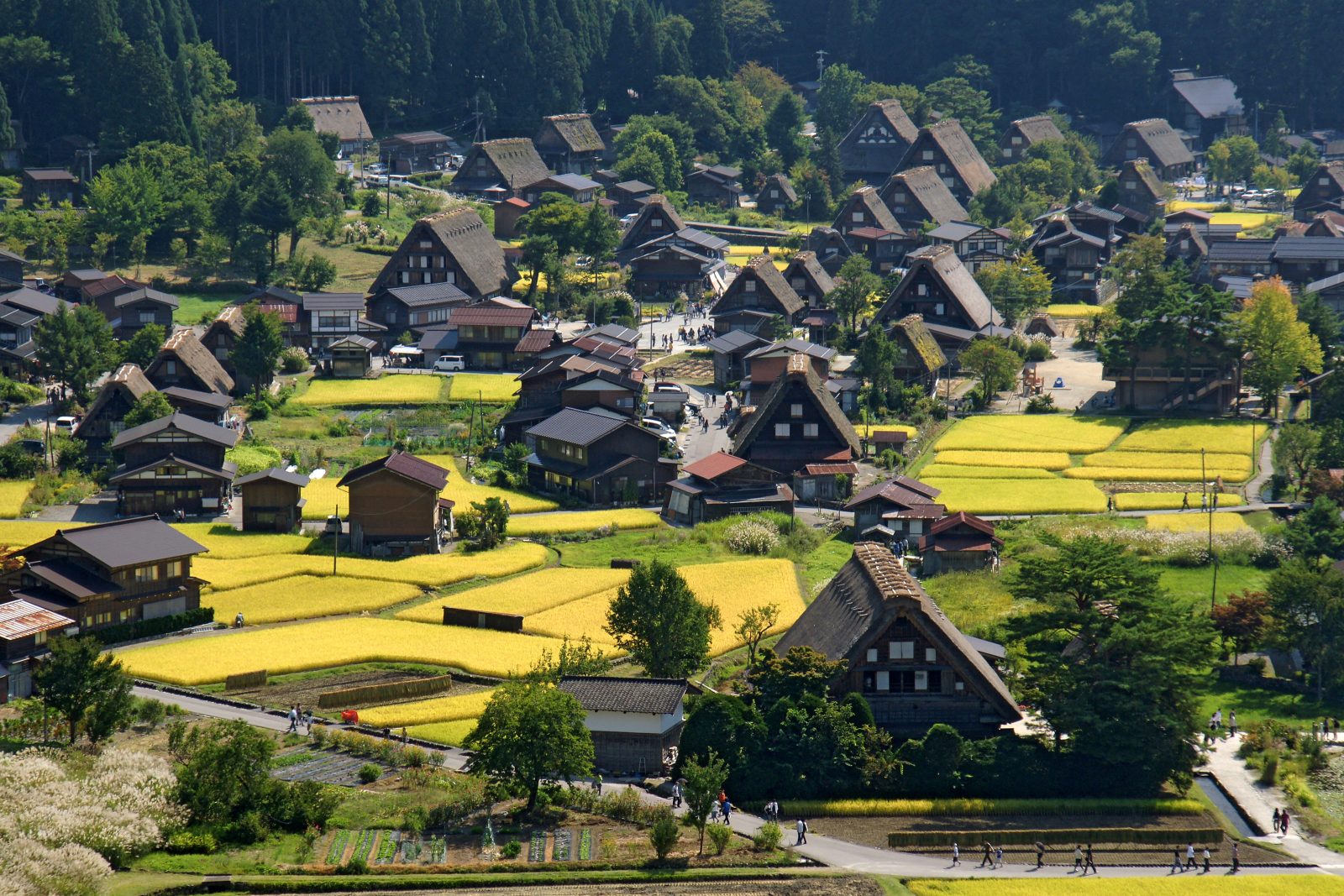 Shirakawa, Gifu (village)
